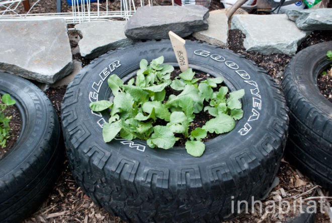 Hayseed's Big City Farm Supply; farm supply; urban farming; rooftop gardens; urban gardening; green design; eco design; repurposed materials; repurposed crates; wood crates; old crates; composting; backyard gardening; Inhabitat; New York; New York City; Inhabitat NY; Greenpoint; Brooklyn; outdoor gardening; Amanda Coen