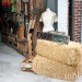 Hayseed's Big City Farm Supply; farm supply; urban farming; rooftop gardens; urban gardening; green design; eco design; repurposed materials; repurposed crates; wood crates; old crates; composting; backyard gardening; Inhabitat; New York; New York City; Inhabitat NY; Greenpoint; Brooklyn; outdoor gardening; Amanda Coen