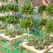 ikea, milan design week, planting tables, eco furniture design, green plant design, sustainable design,