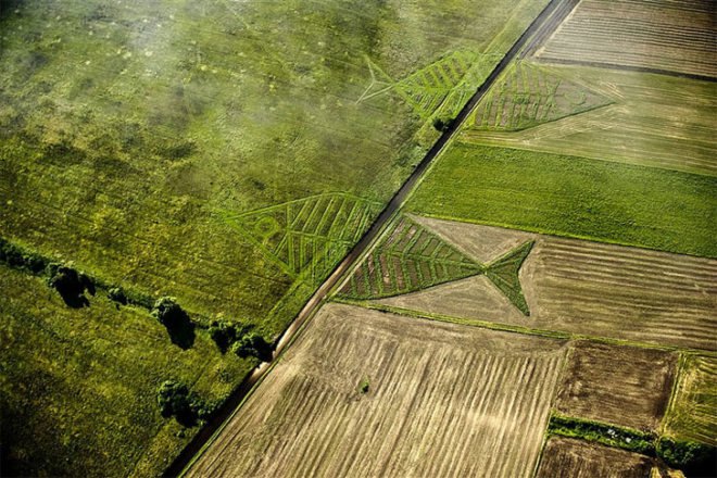 Jaroslaw Koziara, Land Art Festival, unity fish, ukraine, poland, eco art, gardening, sustainable design, green design, crop circles, Horodyszcze, Warez, fish, nature, landscape art, land art