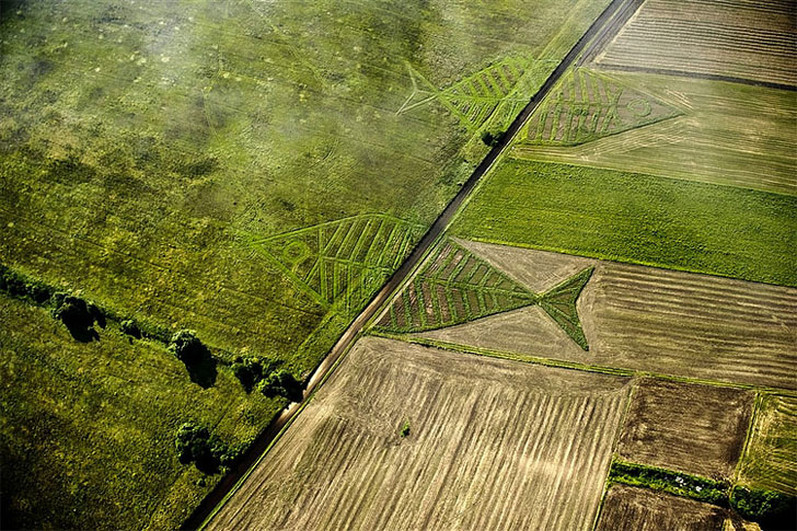 Jaroslaw Koziara, Land Art Festival, unity fish, ukraine, poland, eco art, gardening, sustainable design, green design, crop circles, Horodyszcze, Warez, fish, nature, landscape art, land art