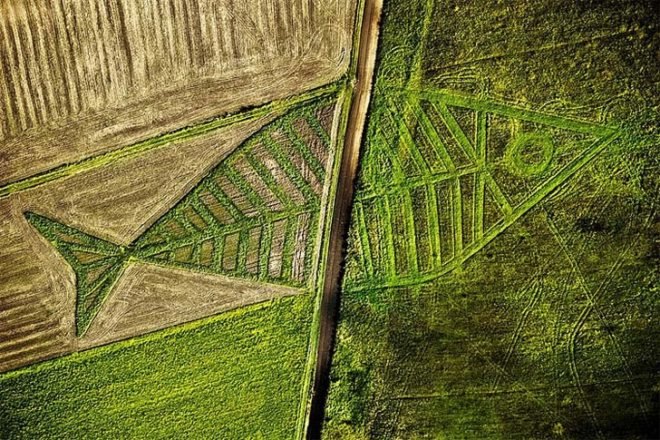 Jaroslaw Koziara, Land Art Festival, unity fish, ukraine, poland, eco art, gardening, sustainable design, green design, crop circles, Horodyszcze, Warez, fish, nature, landscape art, land art