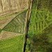 Jaroslaw Koziara, Land Art Festival, unity fish, ukraine, poland, eco art, gardening, sustainable design, green design, crop circles, Horodyszcze, Warez, fish, nature, landscape art, land art