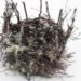 Joe Hogan, basket, irish baskets, basket making, willow, local biodegradable materials, Loch na Fooey, Ireland, bark, willow, catkin, lichen, Green Home decor, art, recycling / Compost