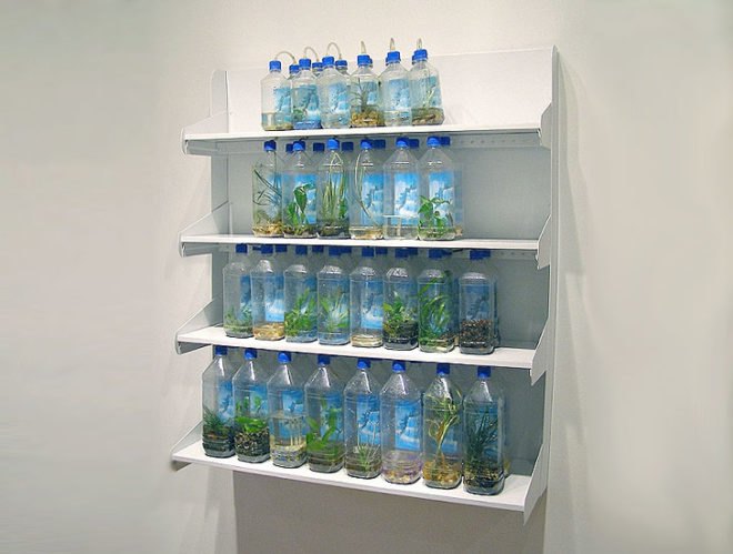 green design, eco design, sustainable design, Like the Spice Gallery, Arts Not Fair, Kim Holleman, recycle art, trash art, environmental art