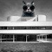 UC Berkeley, LOLcats, photoshop, green design, architecture, sustainable design, eco design, Archinect, art, La Sagrada Familia, Leaning Tower of Pisa