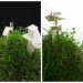 Matteo Cainer, green egg, 'Art in the Easter Egg', easter egg design, rome, sustainable design, green design, green art, eco-artwork