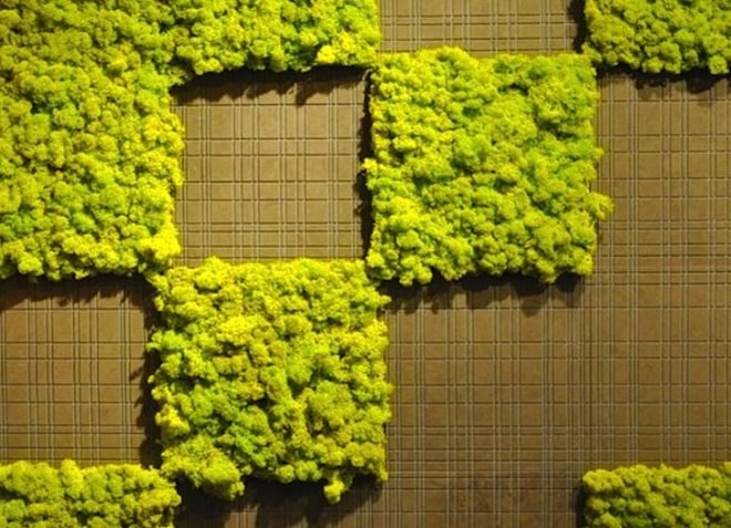 Anna Garforth, Edina Tokodi, Mosstika, Makoto Azuma, DIY, moss, green graffiti, moss graffiti, MOSS tiles, reverse graffiti, strook, green design, art, sustainable design, eco-design
