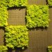 Anna Garforth, Edina Tokodi, Mosstika, Makoto Azuma, DIY, moss, green graffiti, moss graffiti, MOSS tiles, reverse graffiti, strook, green design, art, sustainable design, eco-design