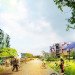 green design, eco design, sustainable design, Almere, Netherlands, Holland, MVRDV, Almere Oosterworld, urban planning, Estate for Initiatives, urban farming