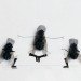 Magnus Muhr, art, flies, dead insects, illustrations, humour, swedish art, animals