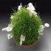 Matteo Cainer, green egg, 'Art in the Easter Egg', easter egg design, rome, sustainable design, green design, green art, eco-artwork