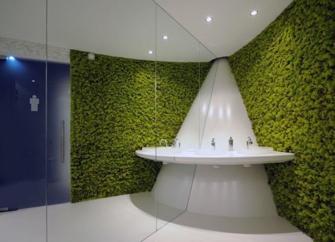 Oasegroen, moss, DIY, Dutch, Netherlands, Kate Moss, green design, green interiors, green materials, vertical garden, green wall, eco-design, sustainable design, lichen, self-sustaining, cradle-to-cradle