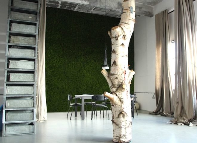 Oasegroen, moss, DIY, Dutch, Netherlands, Kate Moss, green design, green interiors, green materials, vertical garden, green wall, eco-design, sustainable design, lichen, self-sustaining, cradle-to-cradle