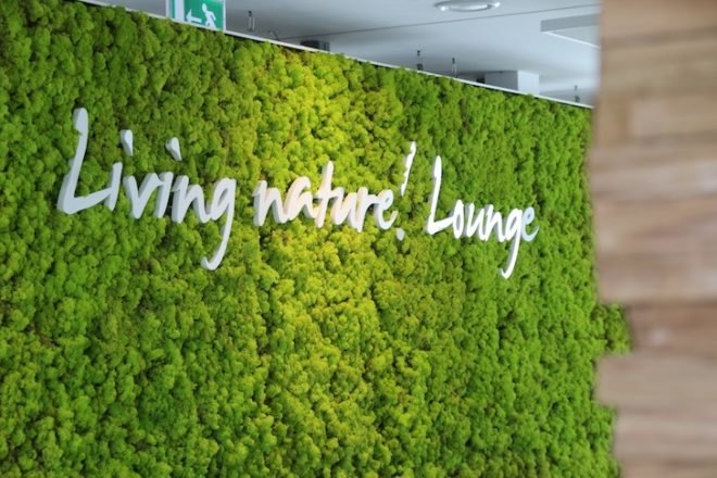 Oasegroen, moss, DIY, Dutch, Netherlands, Kate Moss, green design, green interiors, green materials, vertical garden, green wall, eco-design, sustainable design, lichen, self-sustaining, cradle-to-cradle