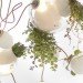Omer Arbel, plant chandelier, green lighting, plant chandelier, plant lamps, green lamps, eco lamps, living furniture