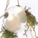 Omer Arbel, plant chandelier, green lighting, plant chandelier, plant lamps, green lamps, eco lamps, living furniture