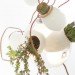 Omer Arbel, plant chandelier, green lighting, plant chandelier, plant lamps, green lamps, eco lamps, living furniture