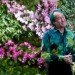 green design, eco design, sustainable design, botanical, New York Botanical Garden, Orchid Show, Enid A. Haupt Conservatory, Patrick Blanc, Vertical garden, Living Wall