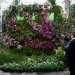 green design, eco design, sustainable design, botanical, New York Botanical Garden, Orchid Show, Enid A. Haupt Conservatory, Patrick Blanc, Vertical garden, Living Wall