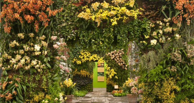 green design, eco design, sustainable design, botanical, New York Botanical Garden, Orchid Show, Enid A. Haupt Conservatory, Patrick Blanc, Vertical garden, Living Wall