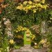 green design, eco design, sustainable design, botanical, New York Botanical Garden, Orchid Show, Enid A. Haupt Conservatory, Patrick Blanc, Vertical garden, Living Wall