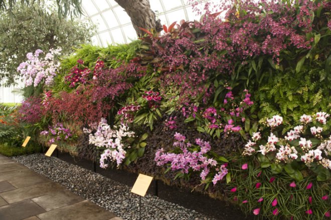 green design, eco design, sustainable design, botanical, New York Botanical Garden, Orchid Show, Enid A. Haupt Conservatory, Patrick Blanc, Vertical garden, Living Wall