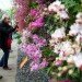 green design, eco design, sustainable design, botanical, New York Botanical Garden, Orchid Show, Enid A. Haupt Conservatory, Patrick Blanc, Vertical garden, Living Wall