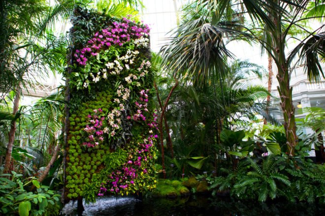 botanical, New York Botanical Garden, Orchid Show, Enid A. Haupt Conservatory, Patrick Blanc, Vertical garden, Living Wall