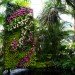botanical, New York Botanical Garden, Orchid Show, Enid A. Haupt Conservatory, Patrick Blanc, Vertical garden, Living Wall