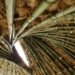Pouya Khazaeli Parsa, bamboo dome, iran, self-standing shelter, emergency shelter, biodegradable materials, rice plants, architecture, botanical, recycling / compost