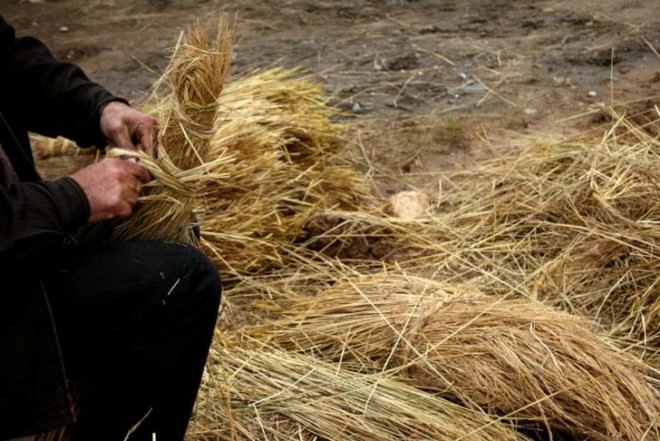 Pouya Khazaeli Parsa, bamboo dome, iran, self-standing shelter, emergency shelter, biodegradable materials, rice plants, architecture, botanical, recycling / compost
