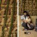Pouya Khazaeli Parsa, bamboo dome, iran, self-standing shelter, emergency shelter, biodegradable materials, rice plants, architecture, botanical, recycling / compost