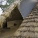 Pouya Khazaeli Parsa, bamboo dome, iran, self-standing shelter, emergency shelter, biodegradable materials, rice plants, architecture, botanical, recycling / compost