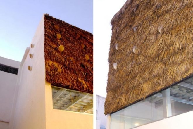 Rec Arquitectos, Cool Building, Mexico, Cuernavaca, Petate, Glass, steel, minimalist architecture, biodegradable materials, local materials, round windows, cuernavaca, Air quality, architecture, Sustainable Materials