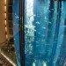 Aquadom at the Radisson Blu Hotel in Berlin, Aquadom, Radisson Blu Hotel, Hotel Aquarium, Berlin Aquarium, Amazing Hotels, Giant Aquariums, germany aquariums
