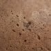 Raúl Laurí, Decafé Lamp, milan design week, first prize winner, SaloneSatellite Award, coffee grounds, biodegradable materials, sustainable materials, Green Lighting, Milan Furniture Fair, Recycling / Compost, recycled materials