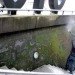 Anna Garforth, Edina Tokodi, Mosstika, Makoto Azuma, DIY, moss, green graffiti, moss graffiti, MOSS tiles, reverse graffiti, strook, green design, art, sustainable design, eco-design