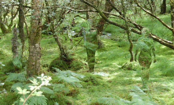 green design, eco design, sustainable design, environmental art, Rob Mullholland, Scotland, Forestry Commission, Vestige, Mirror sculpture, Aberfoyle, Trossachs