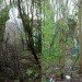 green design, eco design, sustainable design, environmental art, Rob Mullholland, Scotland, Forestry Commission, Vestige, Mirror sculpture, Aberfoyle, Trossachs