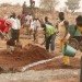Secondary School, Kere Architecture, global holcim awards, holcim awards, burkina faso, passive cooling, natural ventilation