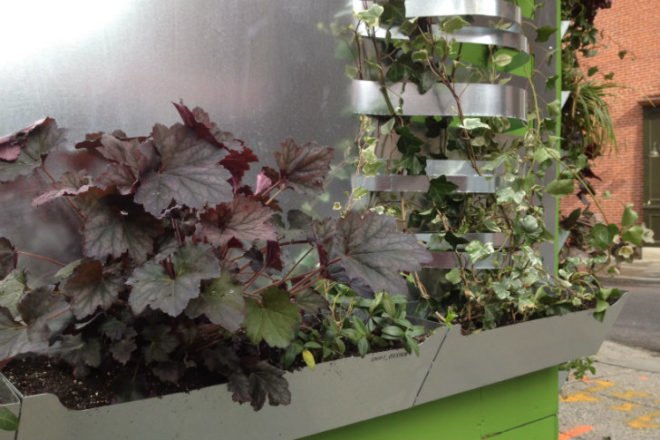 Shake Shack, Shift Design, living wall, vertical garden, temporary installation, philadelphia,