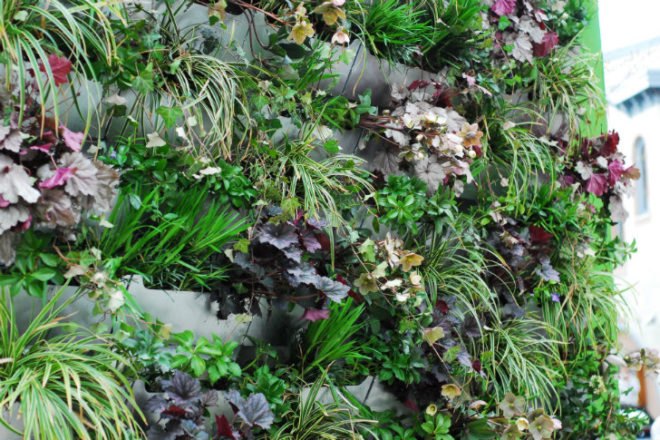 Shake Shack, Shift Design, living wall, vertical garden, temporary installation, philadelphia,