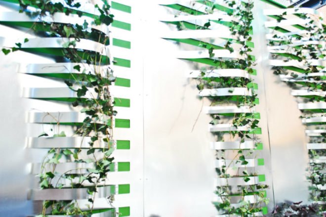 Shake Shack, Shift Design, living wall, vertical garden, temporary installation, philadelphia,