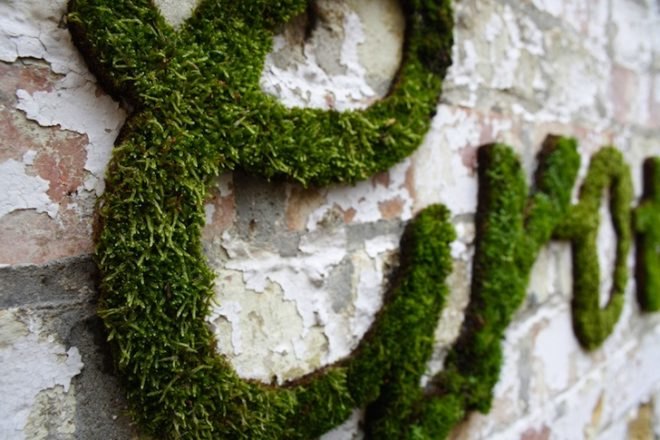 Anna Garforth, Edina Tokodi, Mosstika, Makoto Azuma, DIY, moss, green graffiti, moss graffiti, MOSS tiles, reverse graffiti, strook, green design, art, sustainable design, eco-design