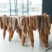 Studio Rygalik, warsaw, polish design, Vienna Design Week, food, bread, bread furniture, Baguette Tables, Graz, Vienna, food waste, old food, Recycling / Compost, art, green furniture