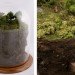 NYC art, Thomas Doyles, catastrophic memories, miniature art, miniature worlds, art