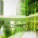 X_Sea_Ty, X-TU, x sea ty, floating city, photosynthetic city, algae, biofuels,