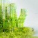 X_Sea_Ty, X-TU, x sea ty, floating city, photosynthetic city, algae, biofuels,