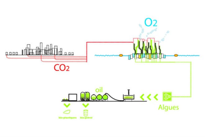 X_Sea_Ty, X-TU, x sea ty, floating city, photosynthetic city, algae, biofuels,